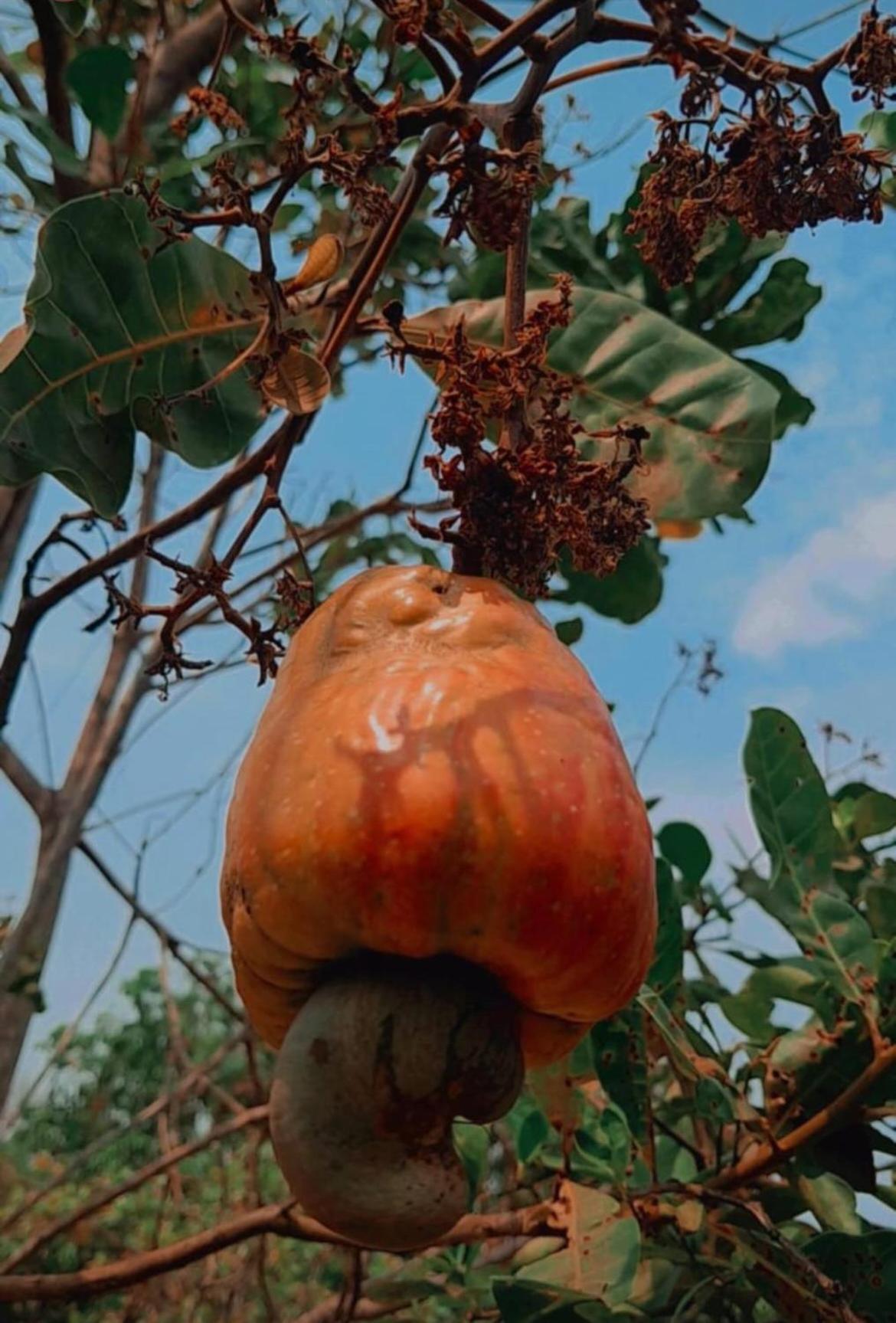 Pousada Ceres 32 Chapada dos Guimarães المظهر الخارجي الصورة