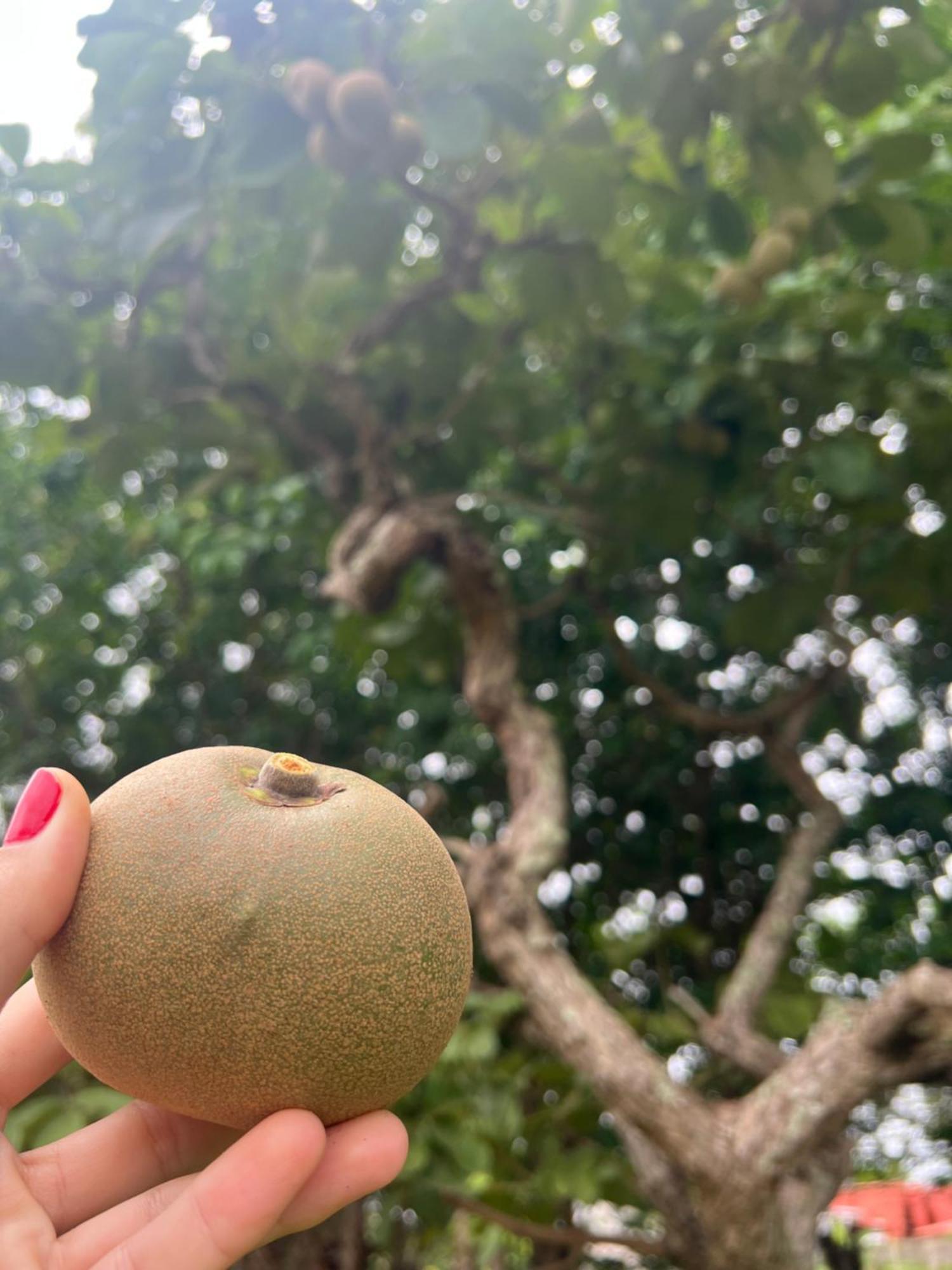 Pousada Ceres 32 Chapada dos Guimarães المظهر الخارجي الصورة